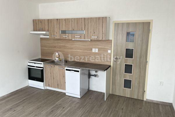 1 bedroom with open-plan kitchen flat to rent, 40 m², Šrámkova, Ústí nad Labem
