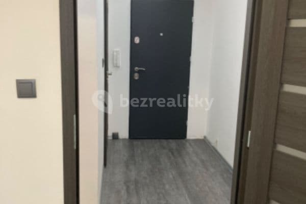 1 bedroom with open-plan kitchen flat to rent, 45 m², Teplice