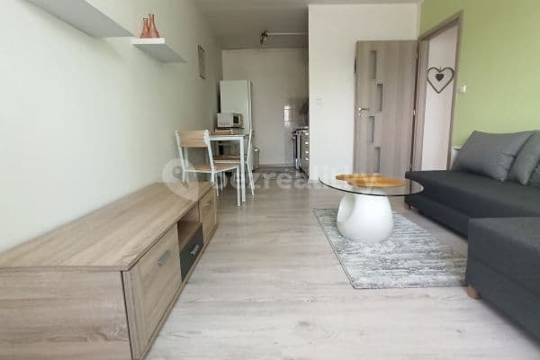1 bedroom with open-plan kitchen flat to rent, 43 m², Norská, Kladno