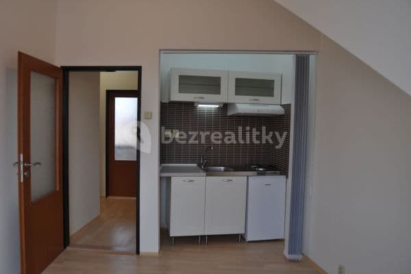 1 bedroom with open-plan kitchen flat to rent, 33 m², Moravská, Brno