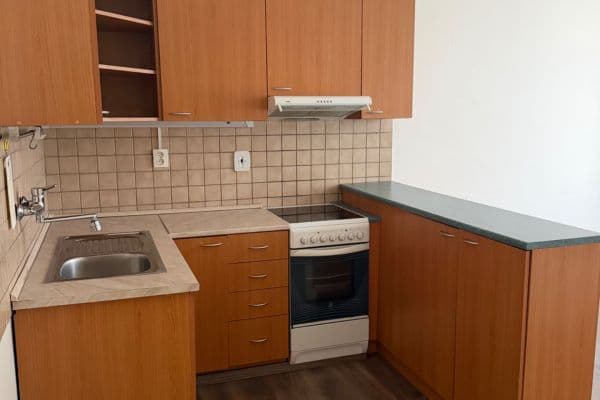 1 bedroom with open-plan kitchen flat to rent, 40 m², Mendíků, Praha 1 bedroom with open-plan kitchen flat to rent, 40 m², Mendíků, Praha