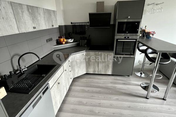 1 bedroom with open-plan kitchen flat to rent, 45 m², Slepá, Milovice