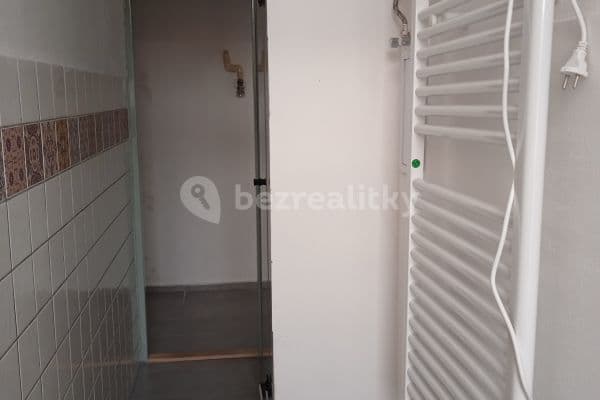 1 bedroom with open-plan kitchen flat to rent, 52 m², Farského, Plzeň