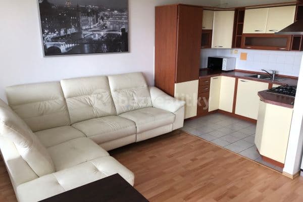 1 bedroom with open-plan kitchen flat to rent, 53 m², Modletice