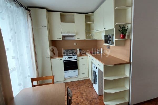 1 bedroom with open-plan kitchen flat to rent, 47 m², Na Vozovce, Olomouc