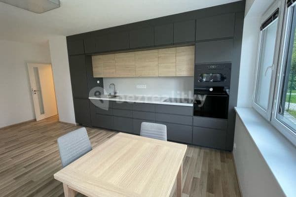 2 bedroom with open-plan kitchen flat to rent, 67 m², Přezletice