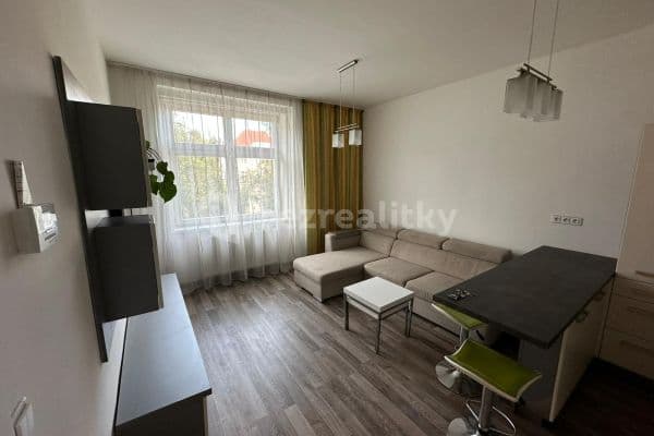 1 bedroom with open-plan kitchen flat to rent, 46 m², Ruská, Praha 1 bedroom with open-plan kitchen flat to rent, 46 m², Ruská, Praha