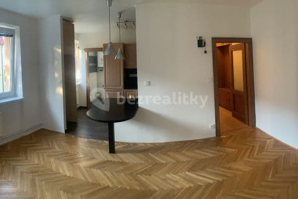 1 bedroom with open-plan kitchen flat to rent, 50 m², sídliště Nádražní, Slavkov u Brna