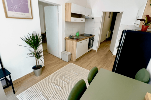 1 bedroom with open-plan kitchen flat to rent, 49 m², Holečkova, Praha 1 bedroom with open-plan kitchen flat to rent, 49 m², Holečkova, Praha