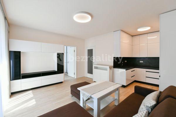 1 bedroom with open-plan kitchen flat to rent, 49 m², Michelská, Hlavní město Praha