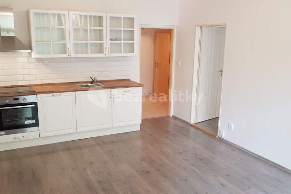 1 bedroom with open-plan kitchen flat to rent, 60 m², Koněvova, Hlavní město Praha