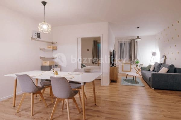 1 bedroom with open-plan kitchen flat to rent, 45 m², Na Návsi, Dolní Věstonice