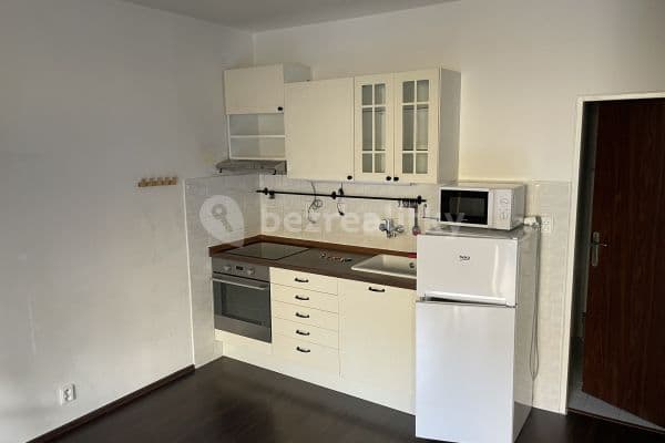Small studio flat to rent, 33 m², bratří Sapáků, Brno
