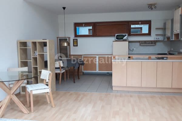 1 bedroom with open-plan kitchen flat to rent, 68 m², Praha