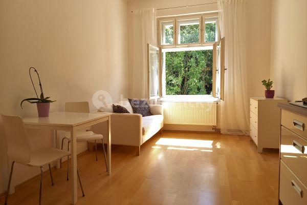 1 bedroom with open-plan kitchen flat to rent, 52 m², Pod Kavalírkou, Hlavní město Praha