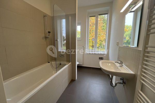 1 bedroom with open-plan kitchen flat to rent, 47 m², Nadační, 