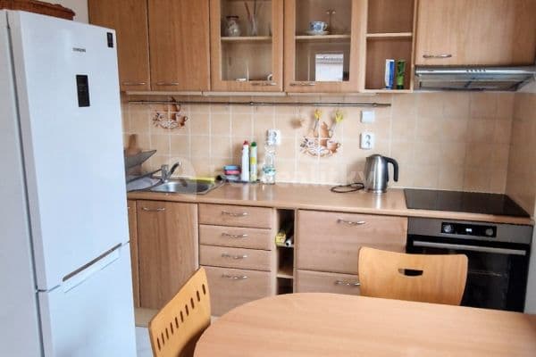 1 bedroom with open-plan kitchen flat to rent, 43 m², Čsl. armády, Hostivice