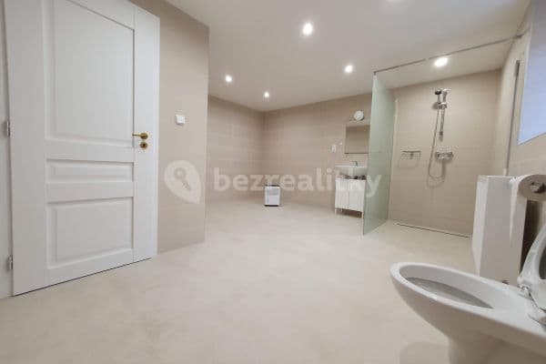 1 bedroom with open-plan kitchen flat to rent, 76 m², Vochovská, Plzeň 1 bedroom with open-plan kitchen flat to rent, 76 m², Vochovská, Plzeň
