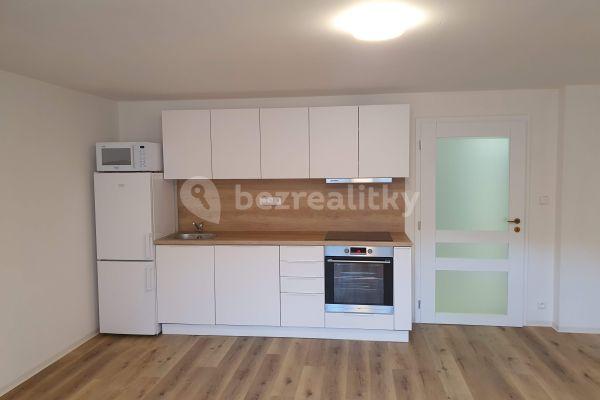 1 bedroom with open-plan kitchen flat to rent, 76 m², Vochovská, Plzeň