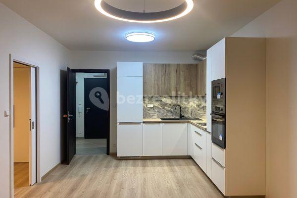 1 bedroom with open-plan kitchen flat to rent, 55 m², Hlavní město Praha