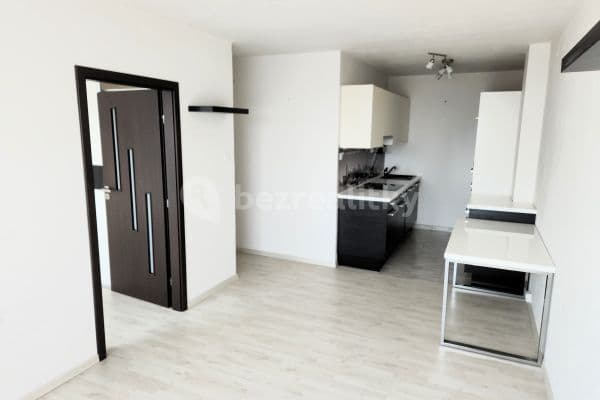 1 bedroom with open-plan kitchen flat to rent, 44 m², Radimovická, Hlavní město Praha
