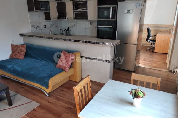 1 bedroom with open-plan kitchen flat to rent, 45 m², Jeneweinova, Brno