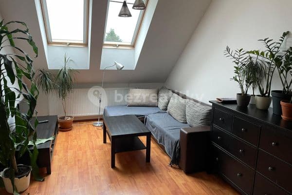 1 bedroom with open-plan kitchen flat to rent, 47 m², Hrnčířská, Zdiměřice
