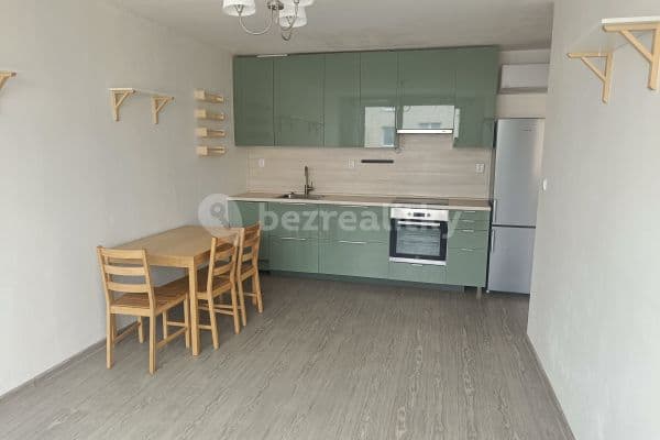 1 bedroom with open-plan kitchen flat to rent, 43 m², Dvořišťská, Hlavní město Praha