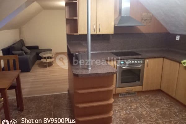 4 bedroom with open-plan kitchen flat to rent, 115 m², Ovčáry