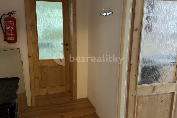 1 bedroom with open-plan kitchen flat to rent, 75 m², Husova, Chodov