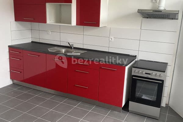 1 bedroom with open-plan kitchen flat to rent, 60 m², V Podhájí, Plzeň