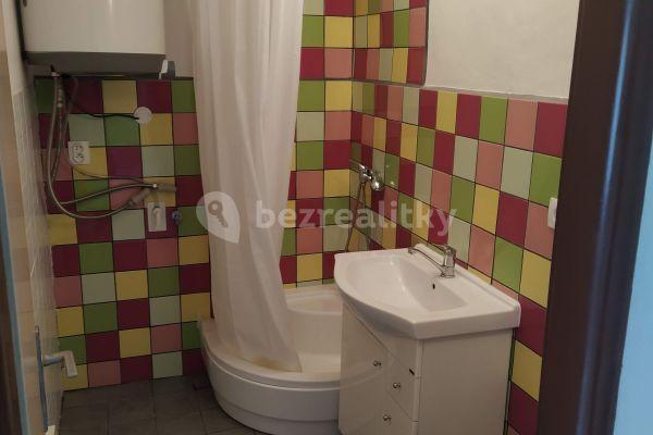 1 bedroom with open-plan kitchen flat to rent, 35 m², Nebužely