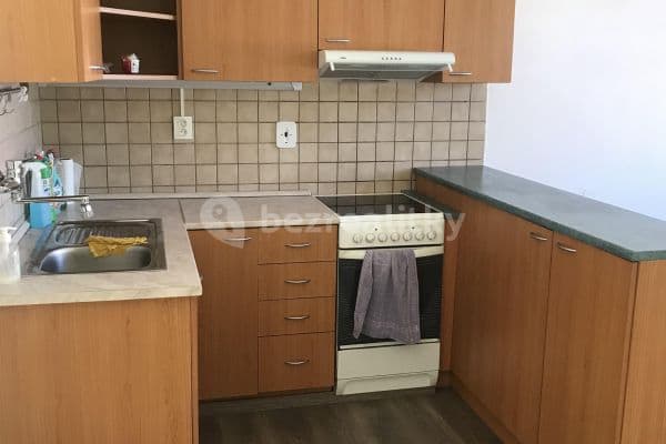 1 bedroom with open-plan kitchen flat to rent, 40 m², Mendíků, Praha