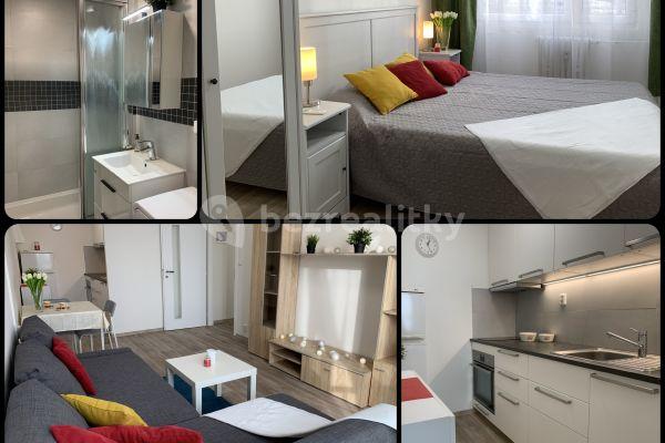 1 bedroom with open-plan kitchen flat to rent, 44 m², Kyselova, Praha