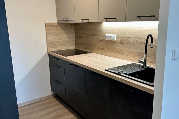 1 bedroom with open-plan kitchen flat to rent, 43 m², V Aleji, Poděbrady 1 bedroom with open-plan kitchen flat to rent, 43 m², V Aleji, Poděbrady