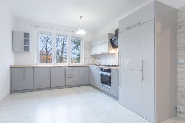2 bedroom with open-plan kitchen flat for sale, 54 m², Haškova, 