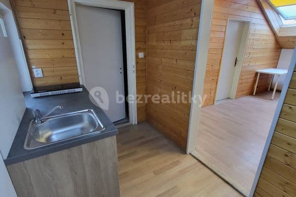 1 bedroom with open-plan kitchen flat to rent, 33 m², Palachova, Liberec, Liberecký Region