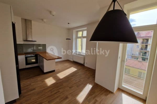 2 bedroom with open-plan kitchen flat to rent, 77 m², Pod Kotlaskou, Hlavní město Praha