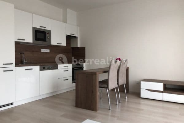 1 bedroom with open-plan kitchen flat to rent, 59 m², Rudolfovská tř., České Budějovice