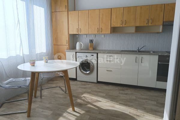 1 bedroom with open-plan kitchen flat to rent, 39 m², Rabštejnská, Plzeň