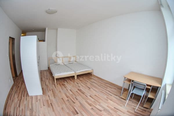 1 bedroom with open-plan kitchen flat to rent, 55 m², Spolková, Brno
