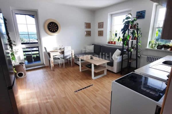 1 bedroom with open-plan kitchen flat to rent, 52 m², Ke Sluji, Liberec