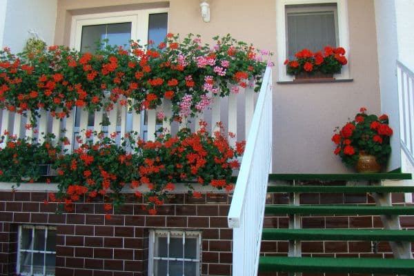 Small studio flat to rent, 18 m², Praha Small studio flat to rent, 18 m², Praha