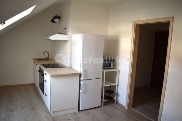 1 bedroom with open-plan kitchen flat to rent, 41 m², Šlikova, Hlavní město Praha