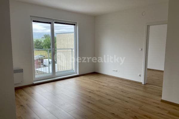 1 bedroom with open-plan kitchen flat for sale, 43 m², Havránkova, Brno