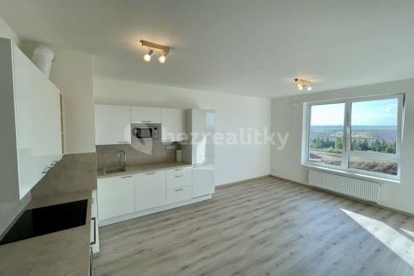 1 bedroom with open-plan kitchen flat to rent, 56 m², Praha