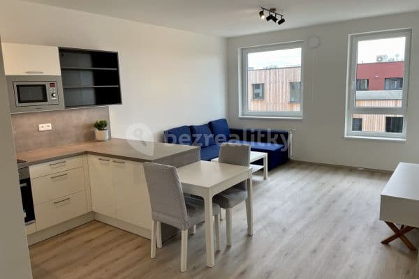 1 bedroom with open-plan kitchen flat to rent, 60 m², Praha