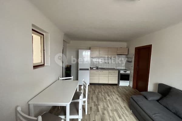 1 bedroom with open-plan kitchen flat to rent, 45 m², Svatá