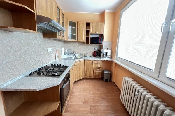 3 bedroom with open-plan kitchen flat to rent, 90 m², Na sídlišti, Čížkovice