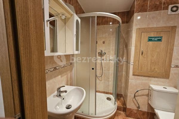 1 bedroom with open-plan kitchen flat to rent, 48 m², Teplice